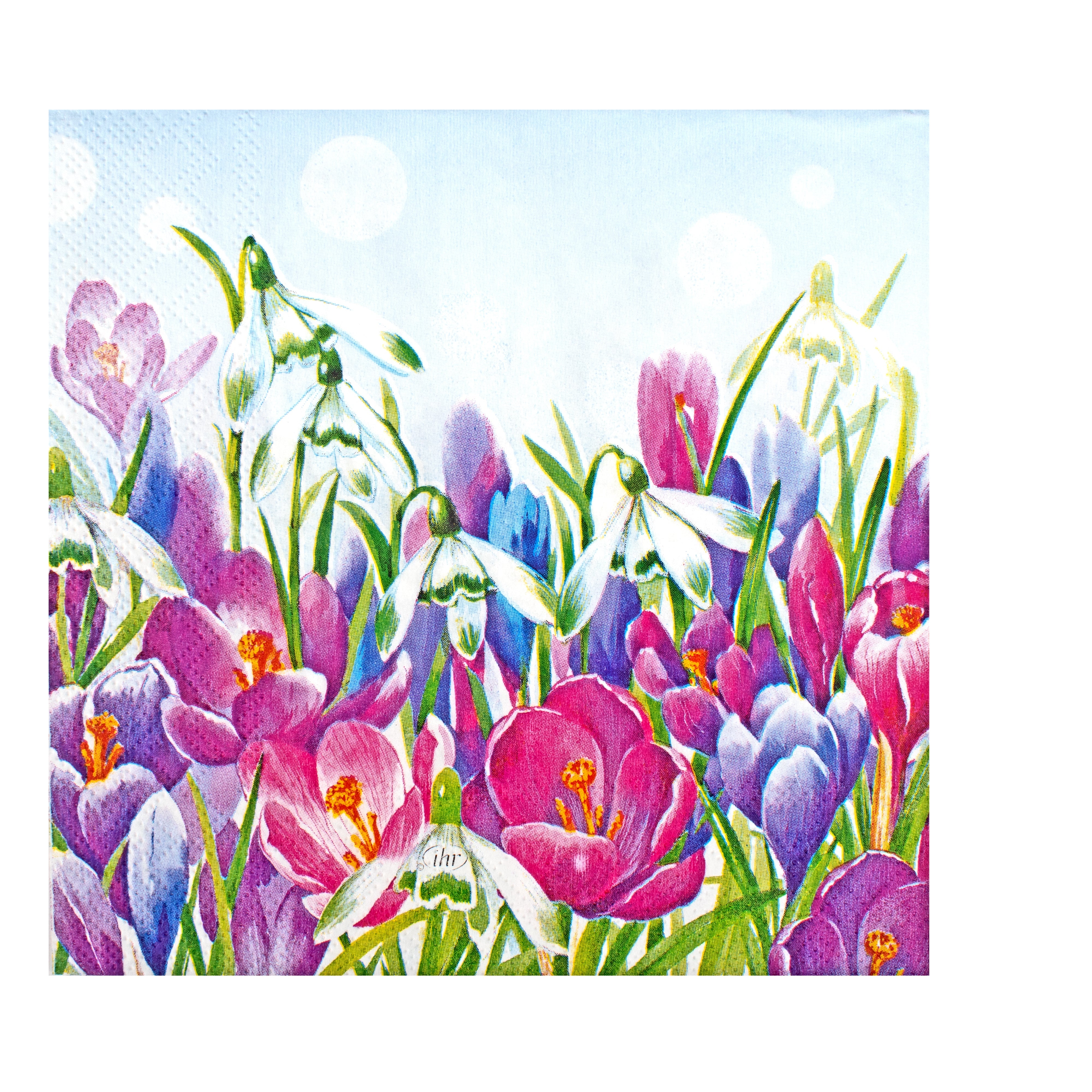 Decoupage Napkin Crocus Field 13 X 13inch 3PLY 1pc