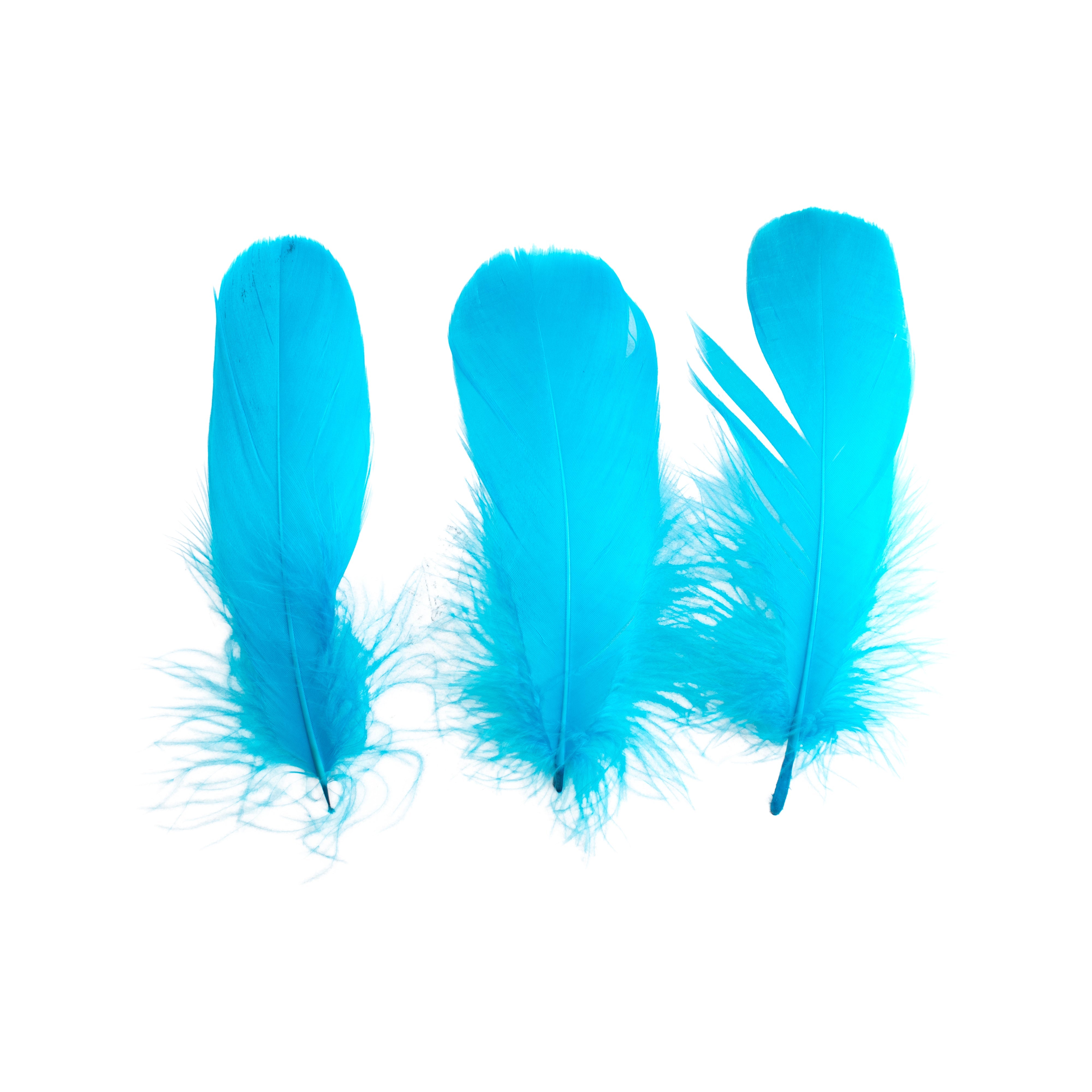Goose Feathers Bright Approx 15 to 17cm 20pc