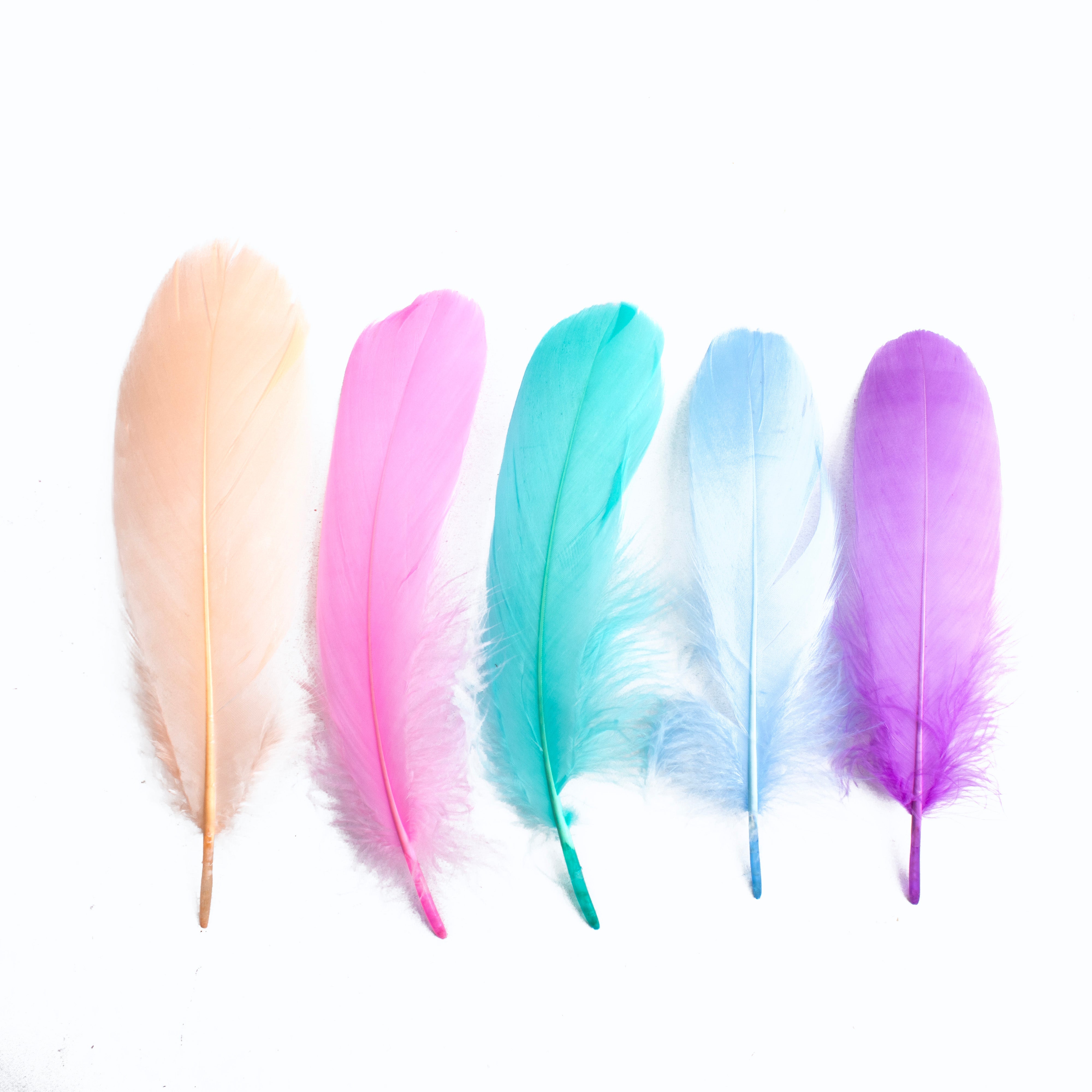 Goose Feathers Pastel 15 to 17cm 20pc