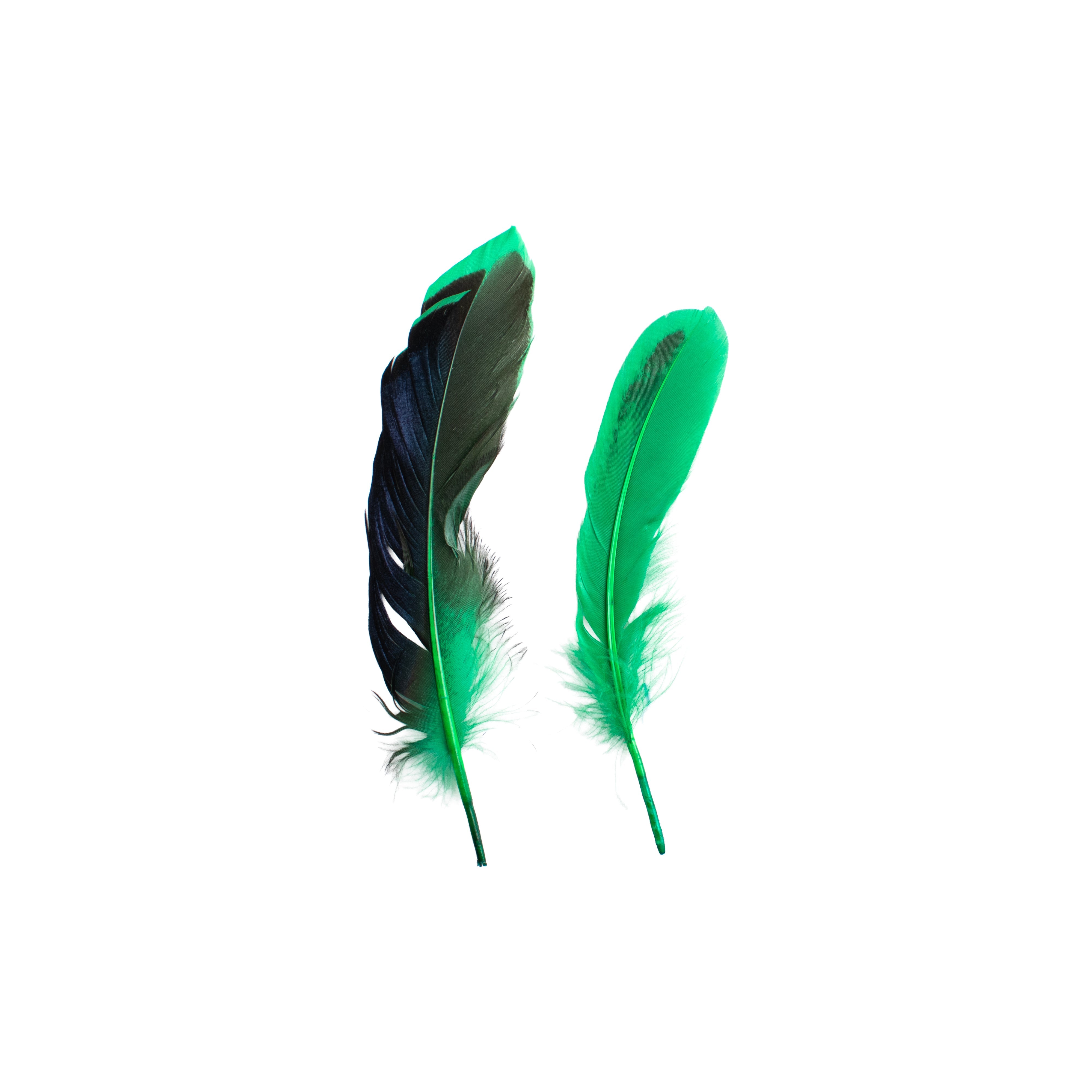 Duck Feathers Rainbow Black 10 to 15cm 20pc