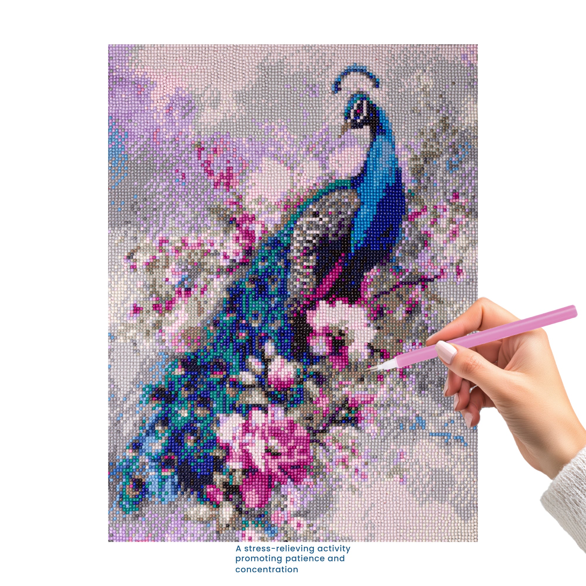 (40 x 50 cm) - 5D Diamond Painting - Peacock Grace  Matching Frame Combo