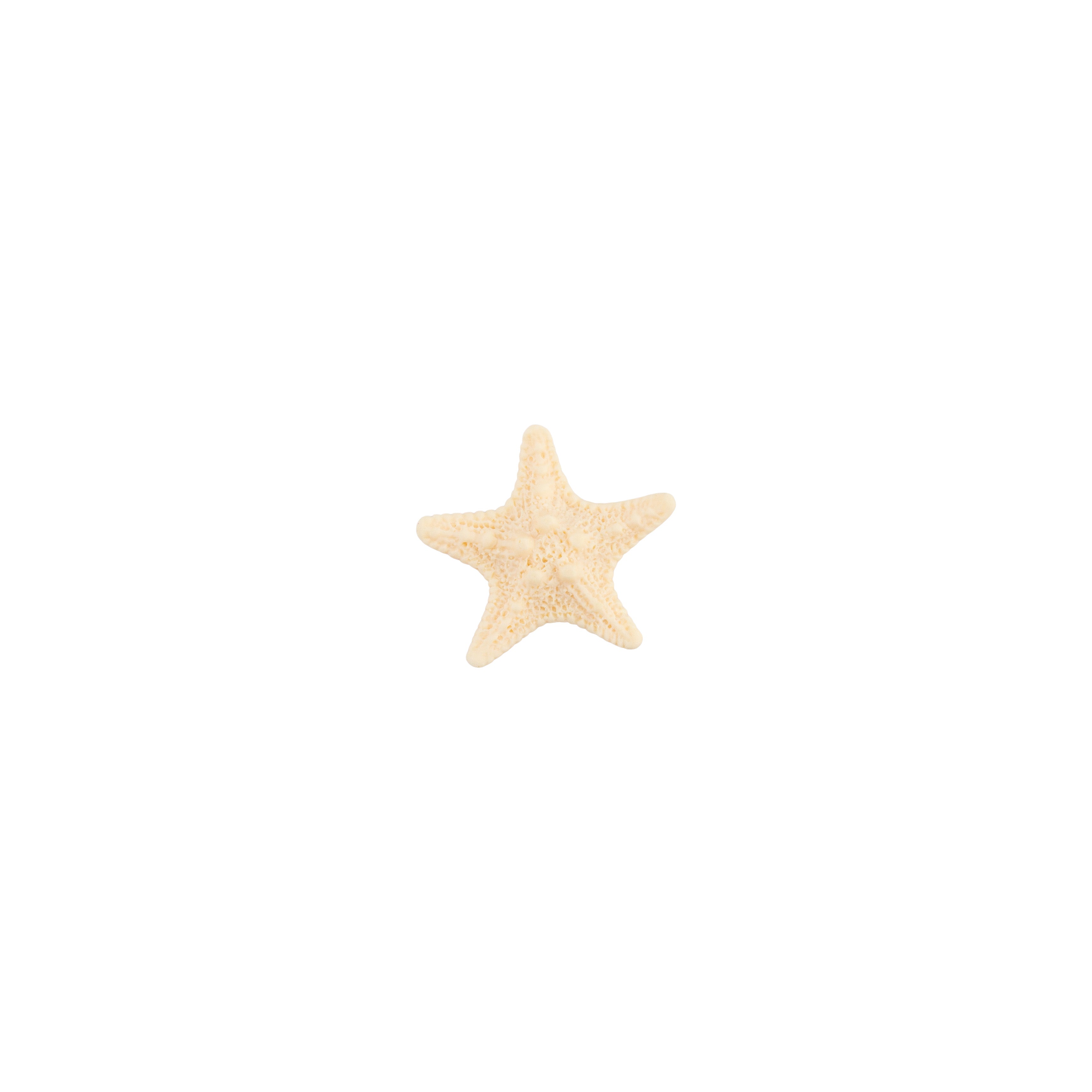 Miniature Star Fish 1pc