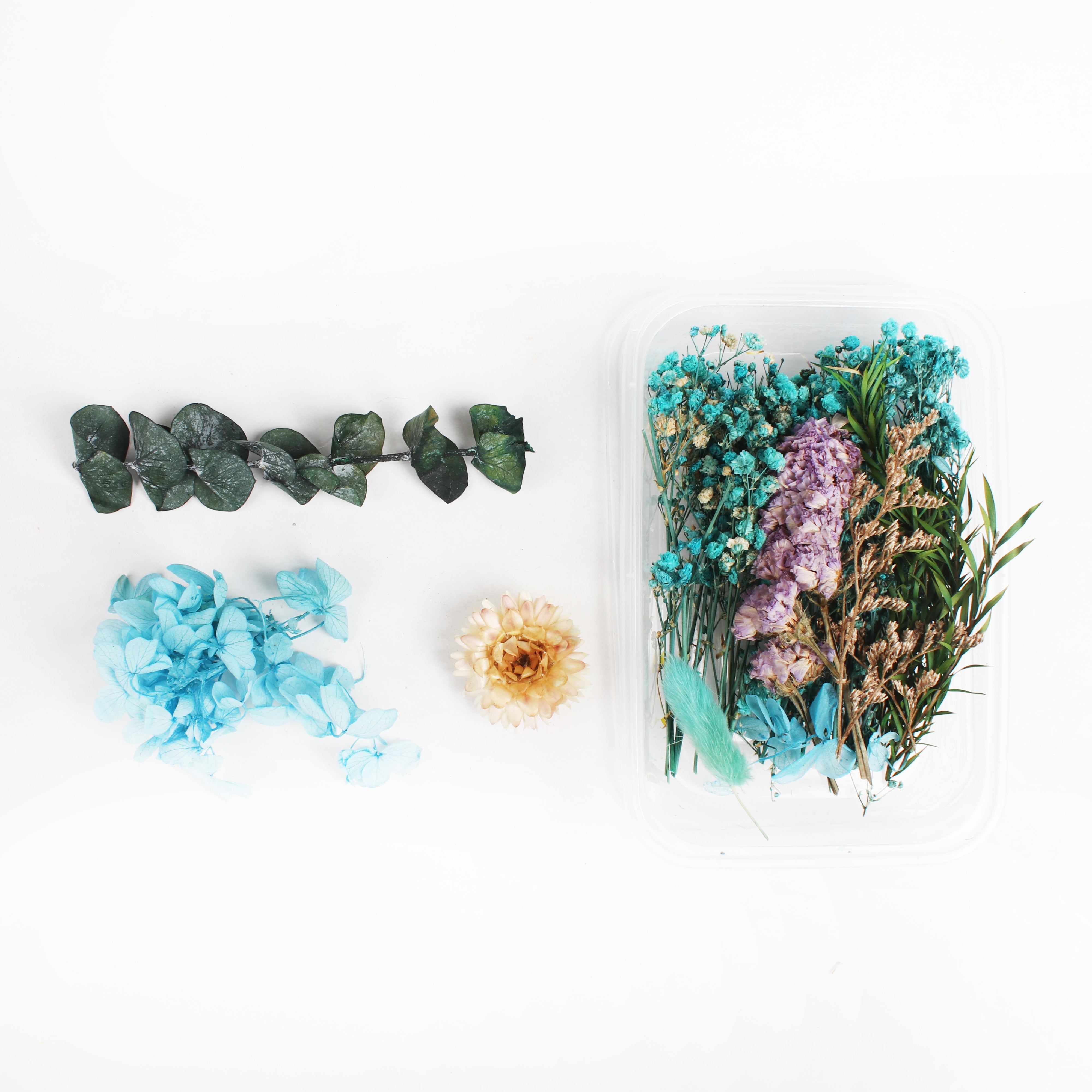 Assorted Natural Dried Flowers Snow Sky 1Box