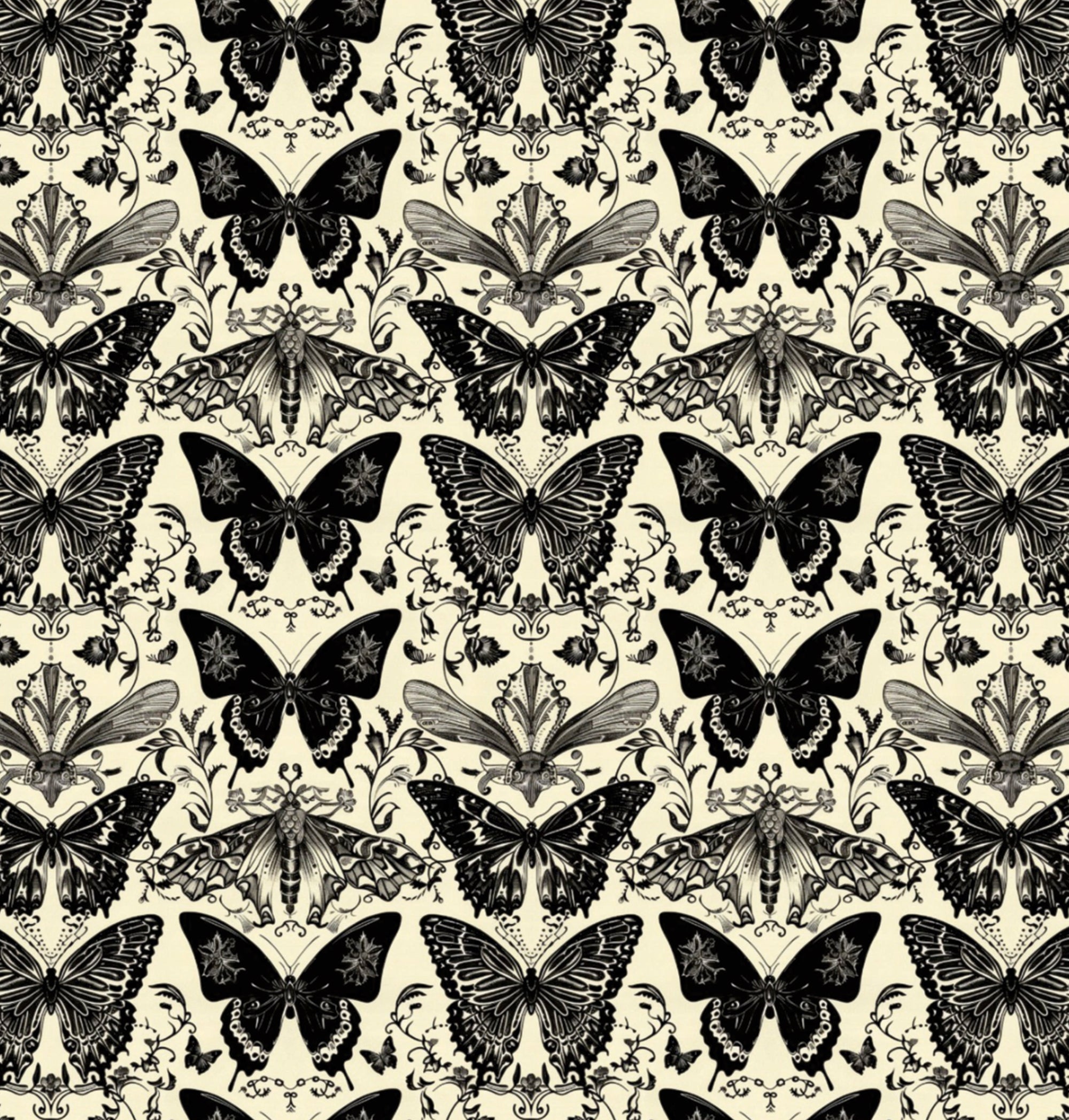 Printed Cardstock |  12 X 12inch |  Butterfly Flight | 250gsm | 1Sheet