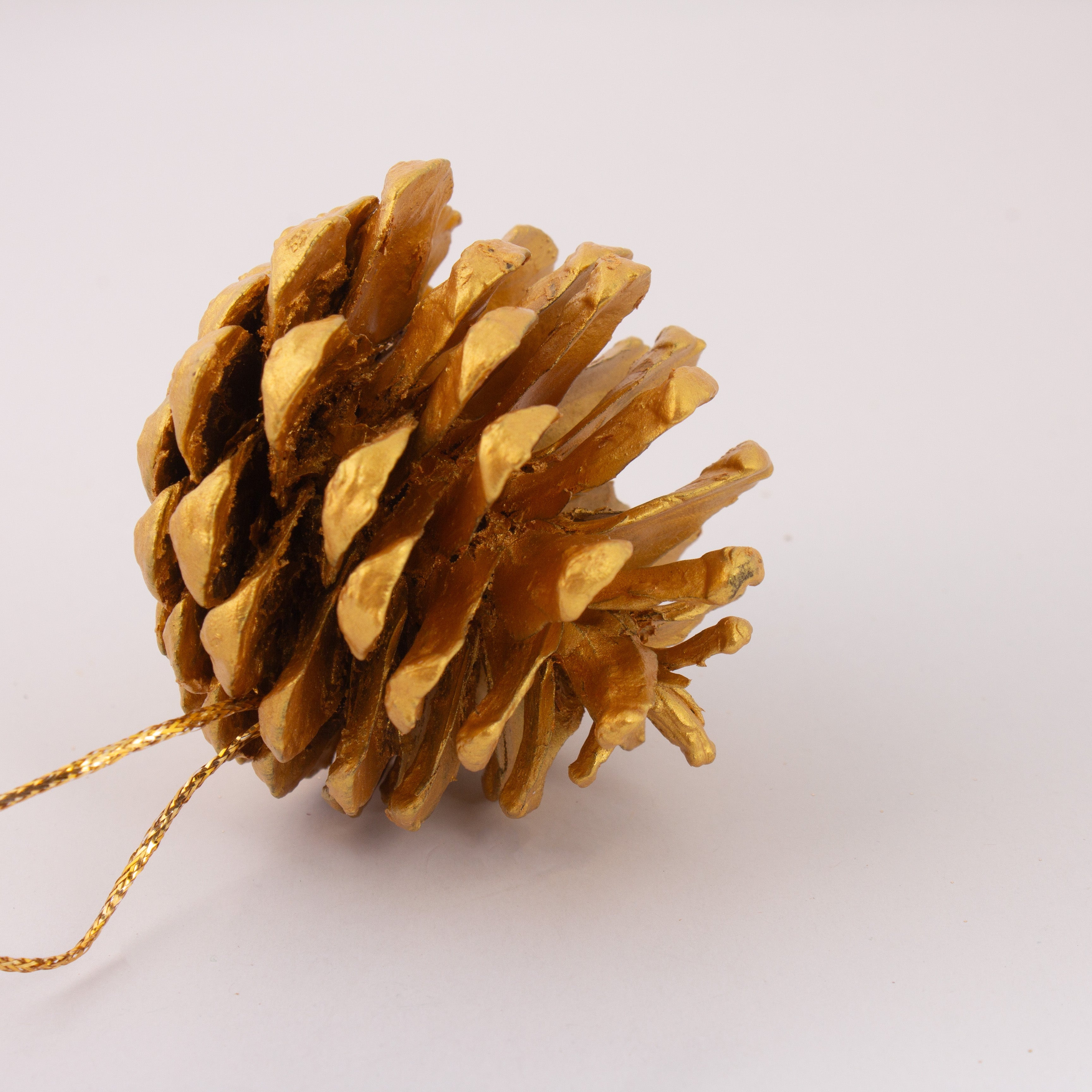 Natural Dried Pine Cone Gold 5-8cms Approx Dia 1 Pc