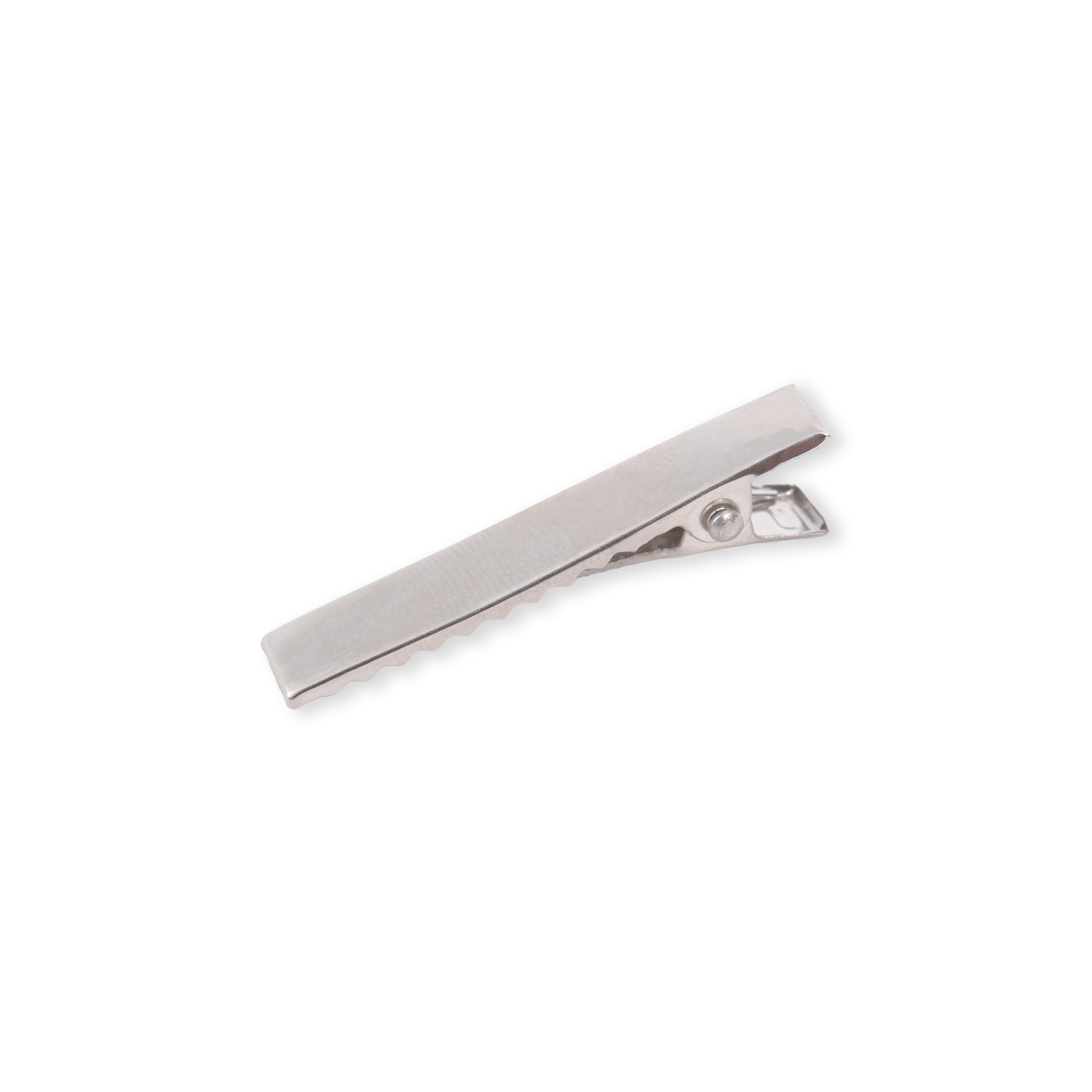 Crocodile Hair Clip 4Pc