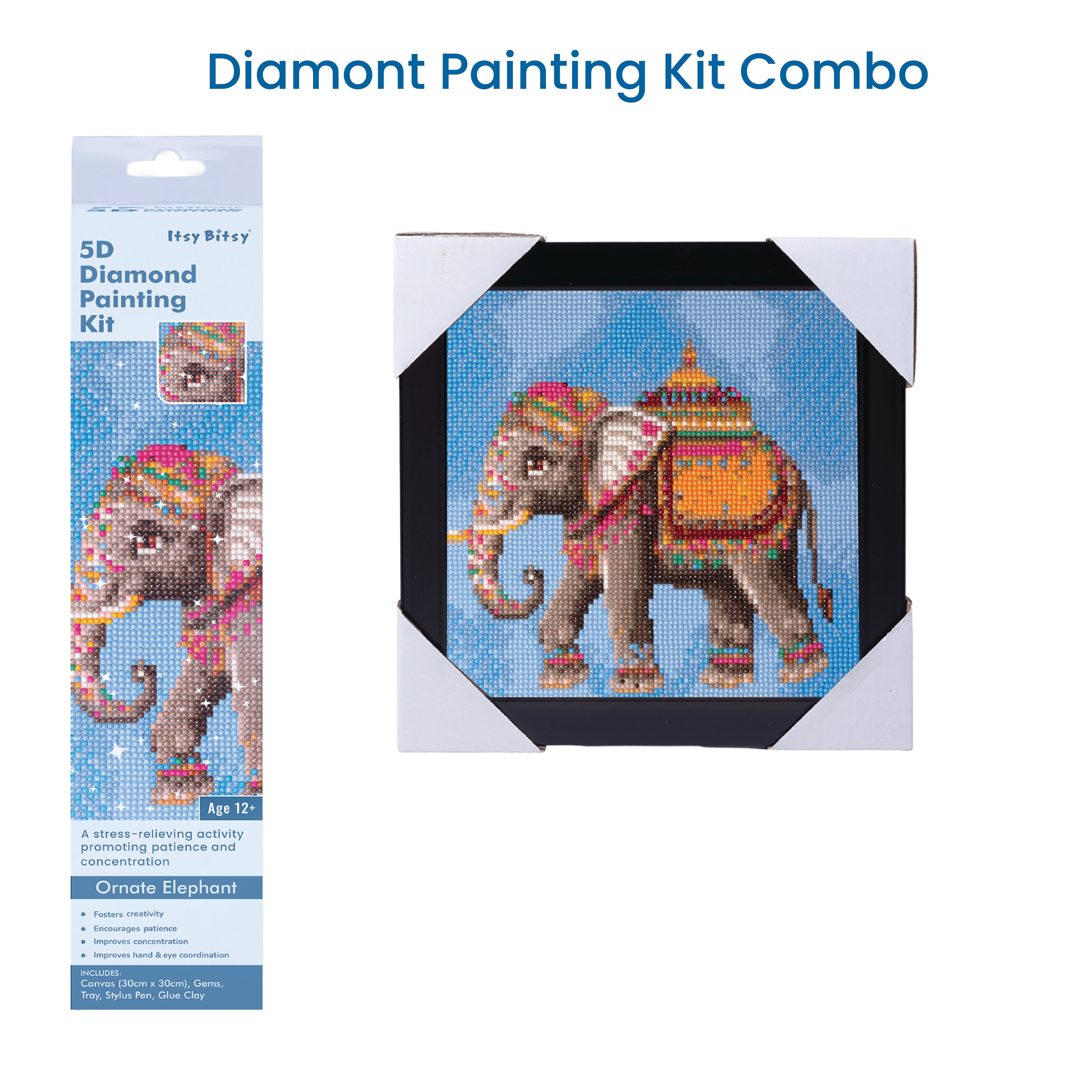 (30 X 30 cm) - 5D Diamond Painting - Ornate Elephant  Matching Frame Combo