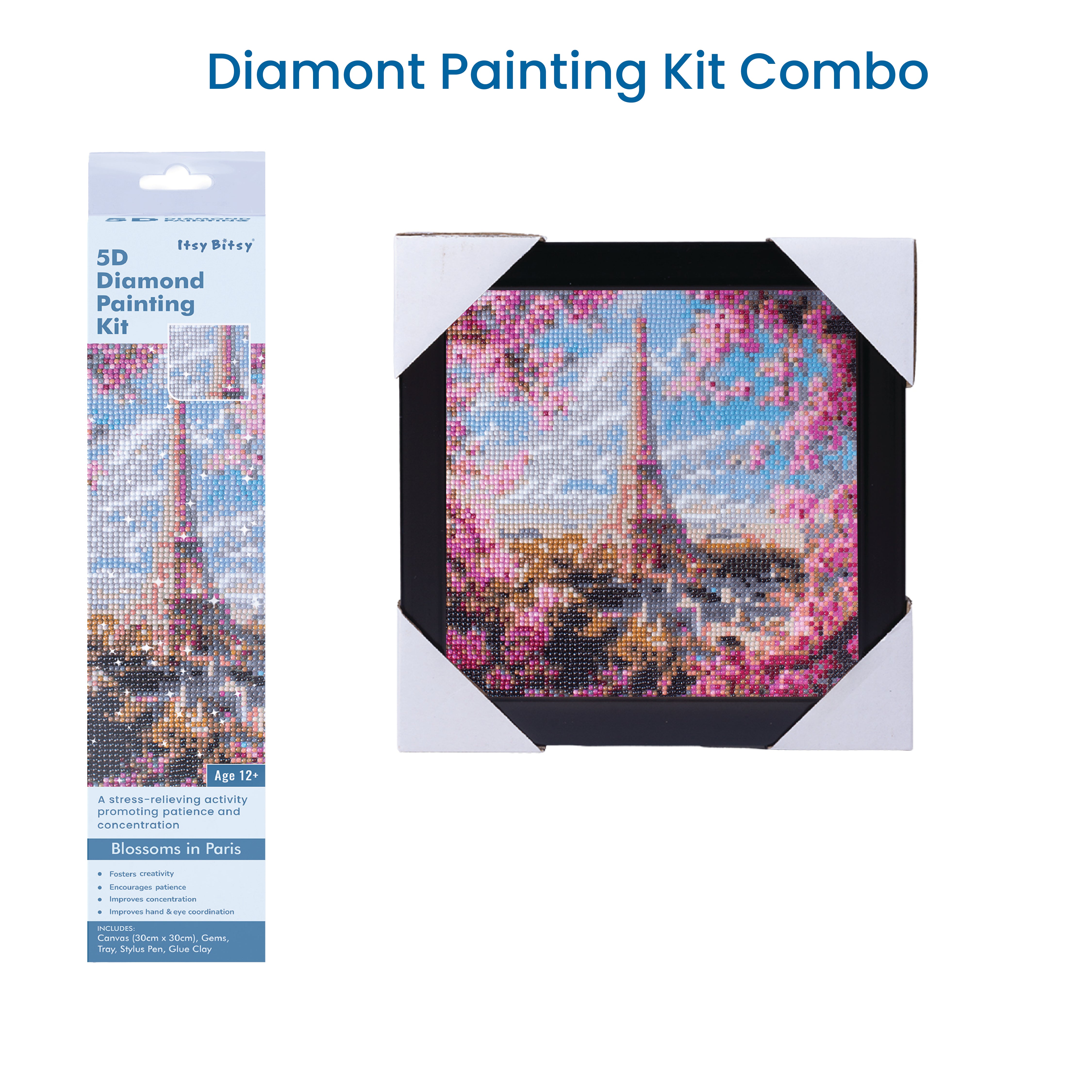 (30 X 30 cm) - 5D Diamond Painting - Blossoms in Paris  Matching Frame Combo