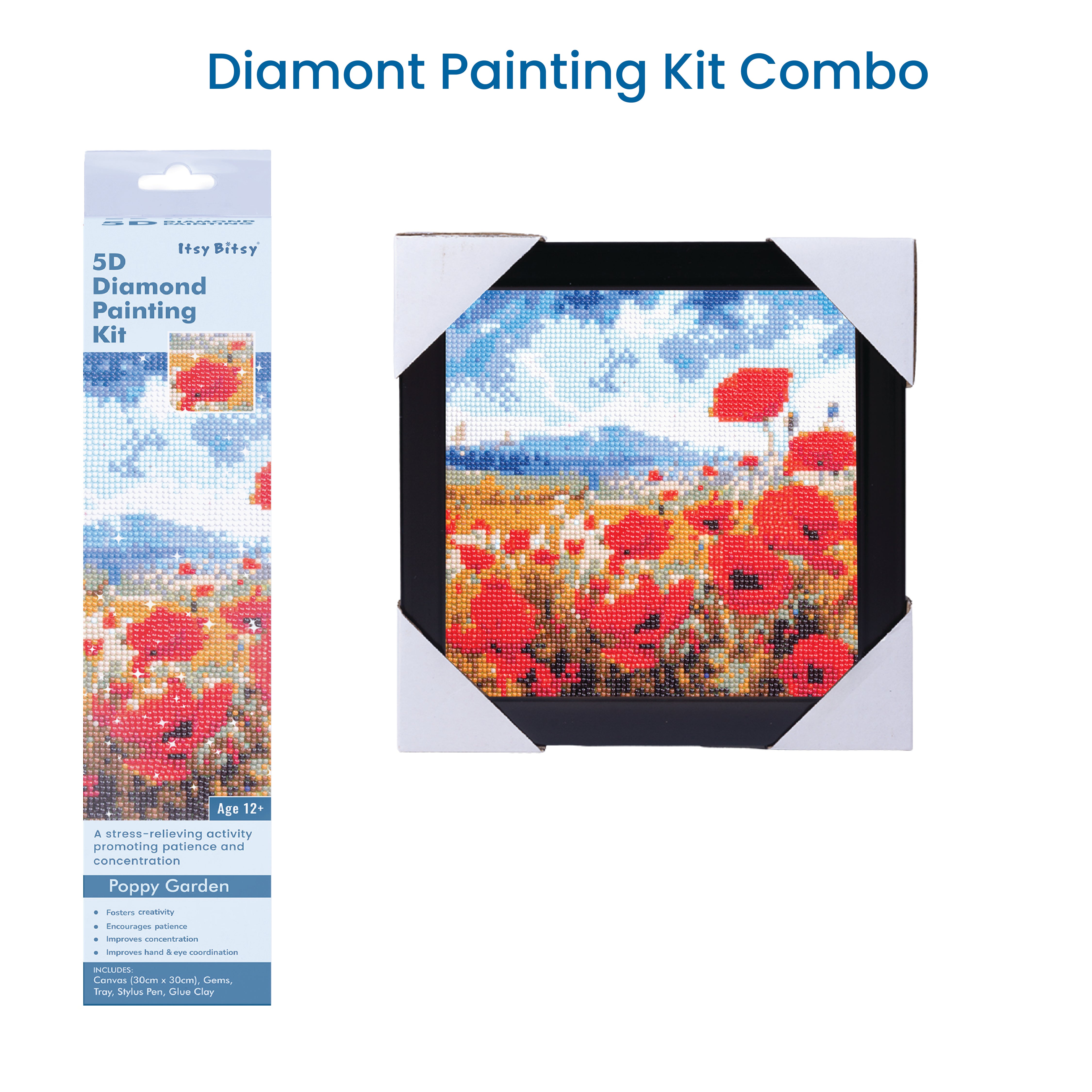 (30 X 30 cm) - 5D Diamond Painting - Poppy Garden  Matching Frame Combo