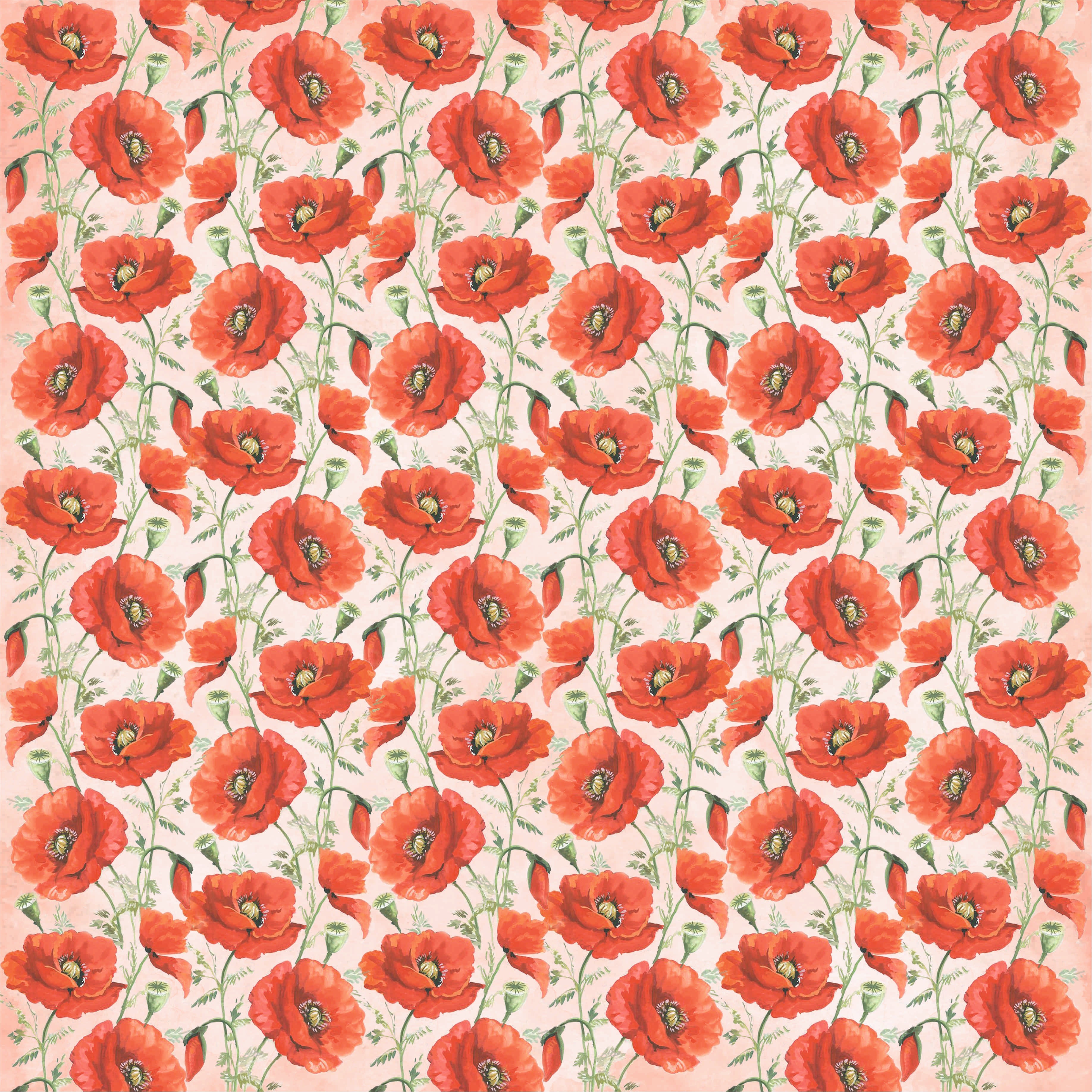 Paper Pack 12In X 12In Poppies & Roses 12 Sheets 250Gsm Lb