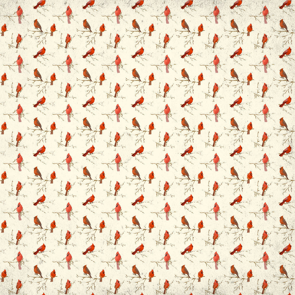 Little Birdie 12 x12 inch Printed Cardstock pack- Merry Christmas, 12 Sheets, 12 Designs, 250 gsm