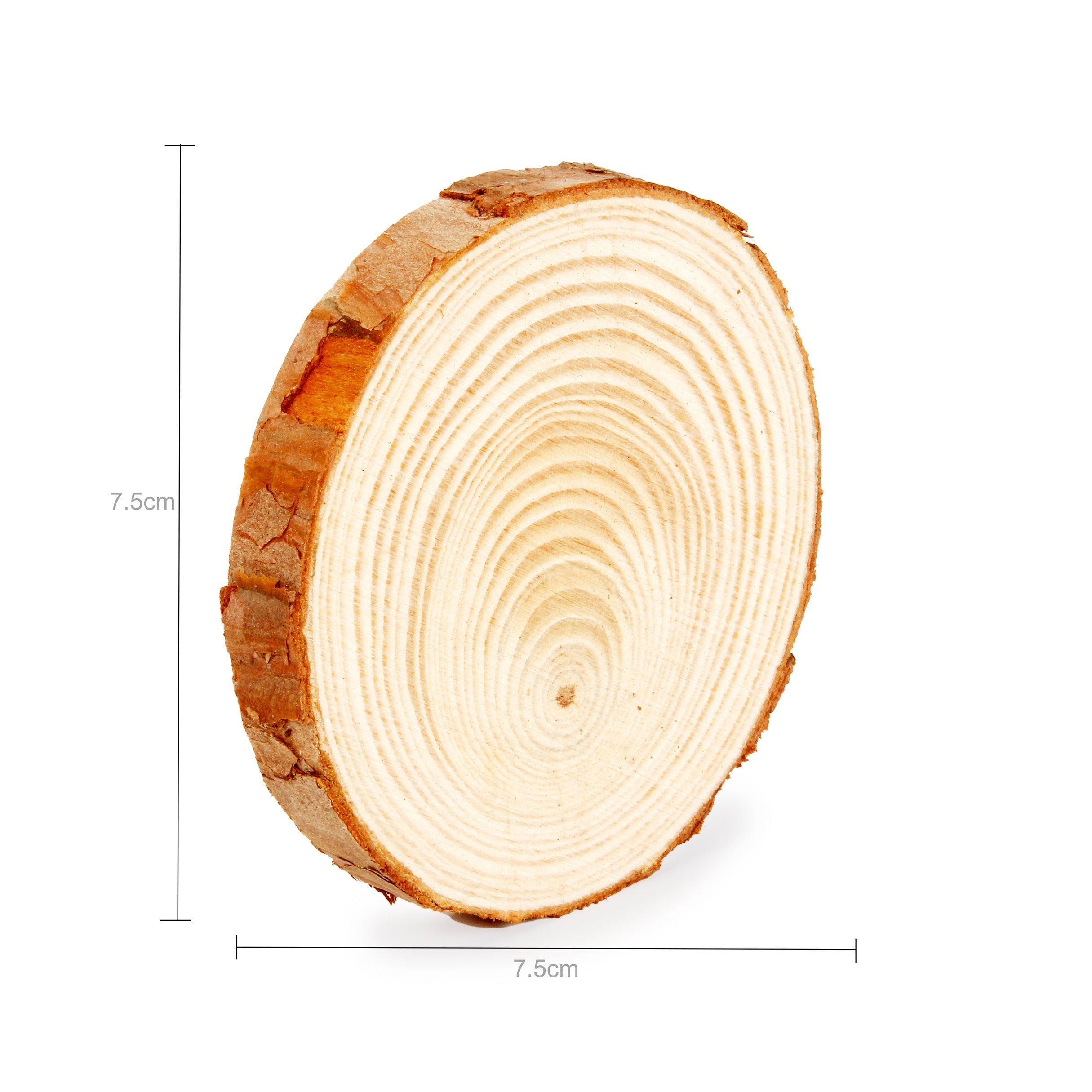 Wooden Slice 8 x 1cm 1Pc