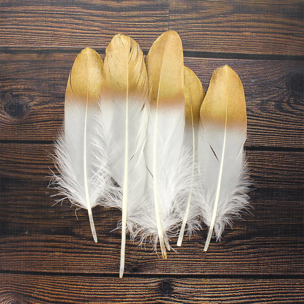 Dip Dyed Feathers Metallic Golden 6 Pcs Ib