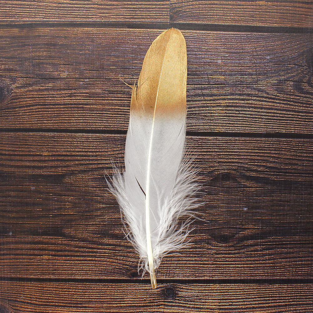 Dip Dyed Feathers Metallic Golden 6 Pcs Ib