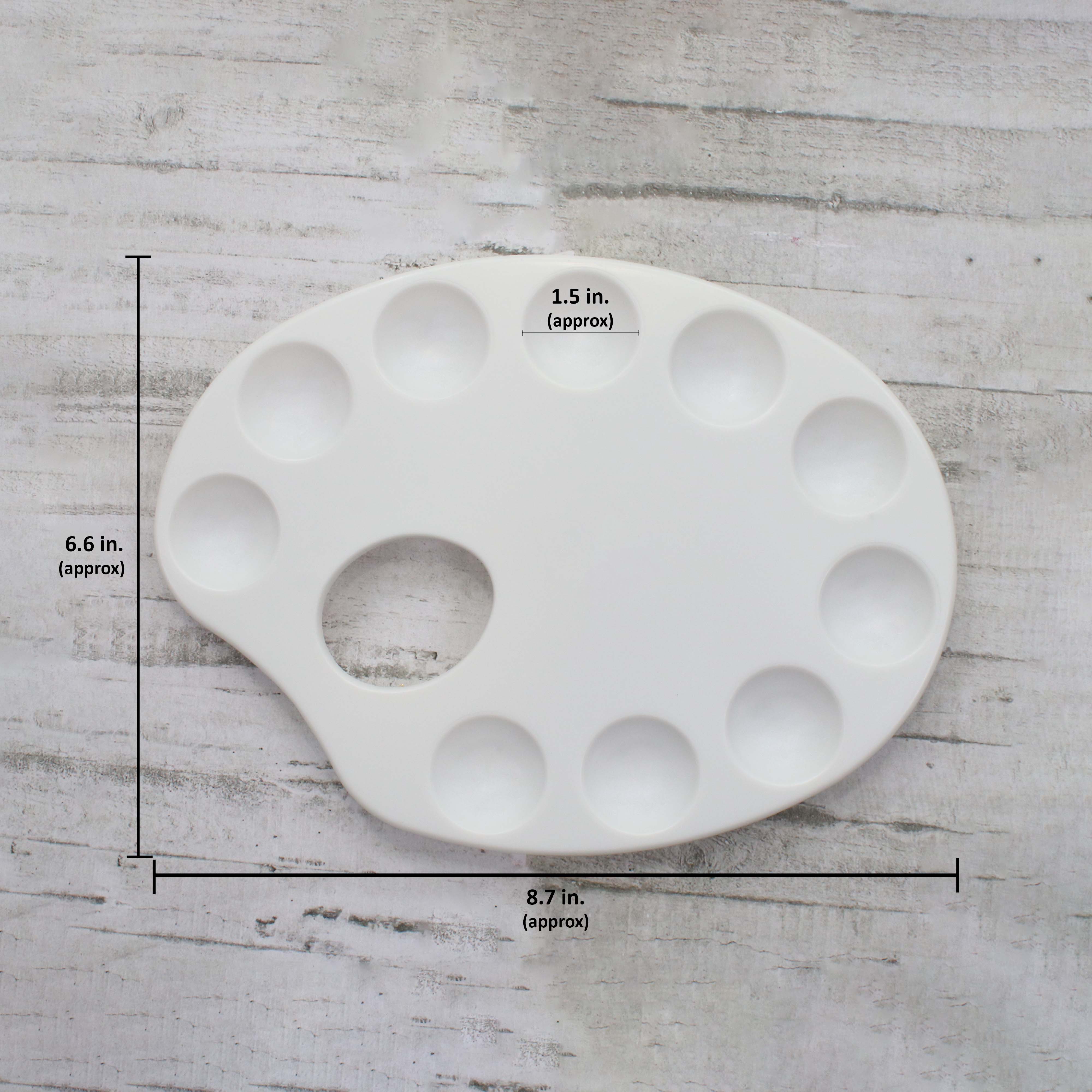 Artists Plastic Palette 8.7Inch X 6.6Inch Artistic Style 10 Well 1Pc