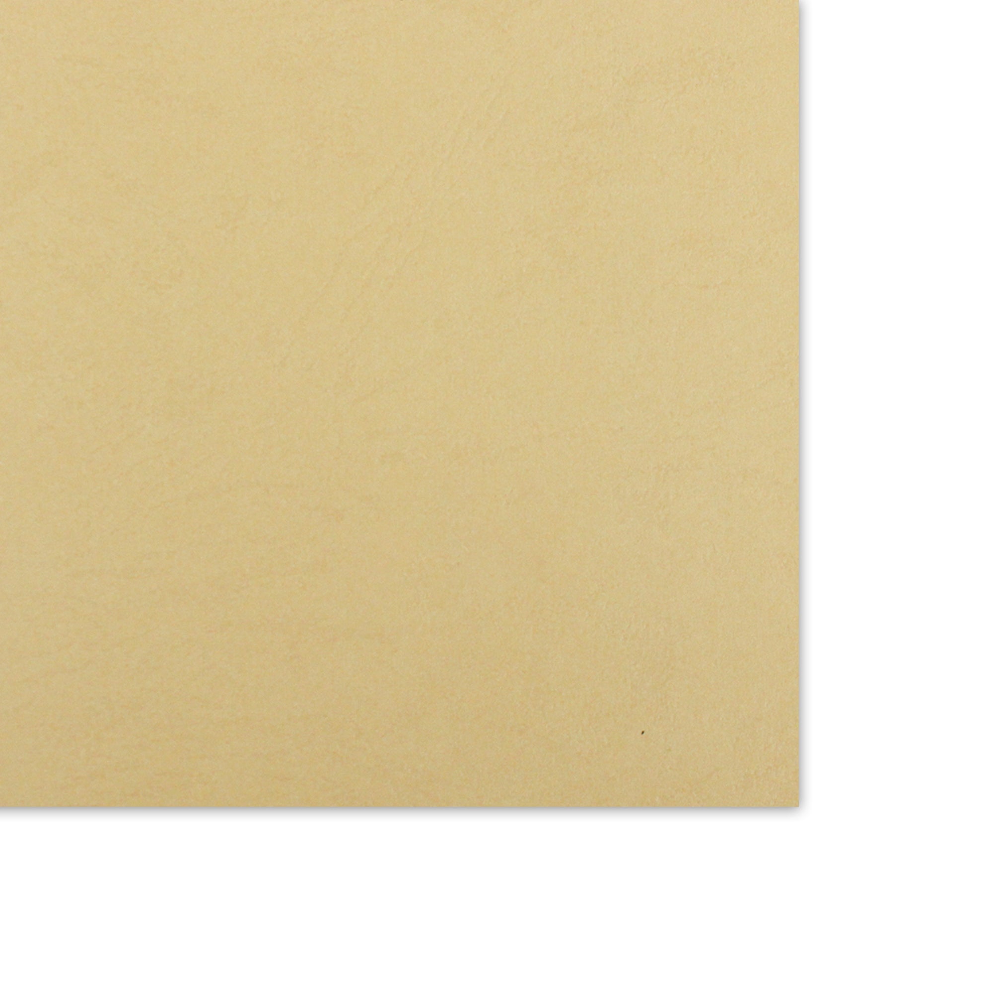 Card Stock Matte Embossed 220Gsm 31Inch X 21Inch Buffalo Light Brown 1Sheet Lb