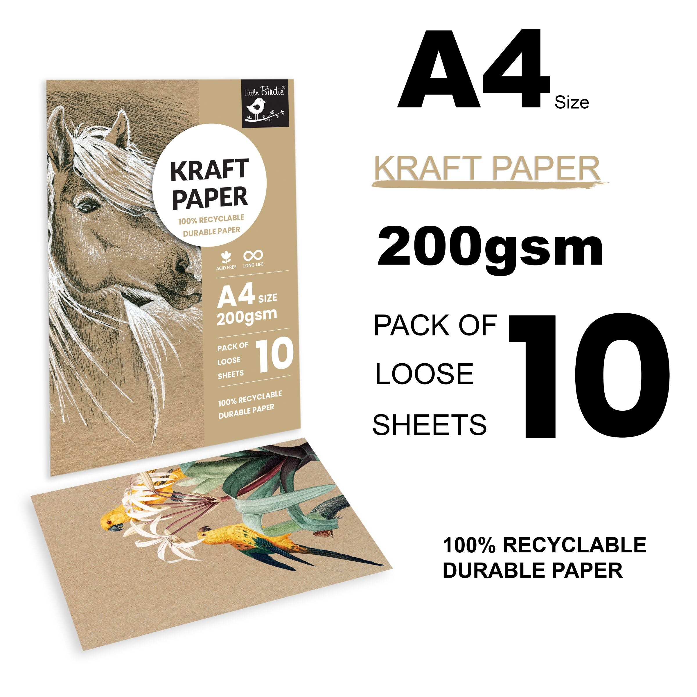 Kraft Paper A4 Size 200 Gsm Pack Of 10 Sheets