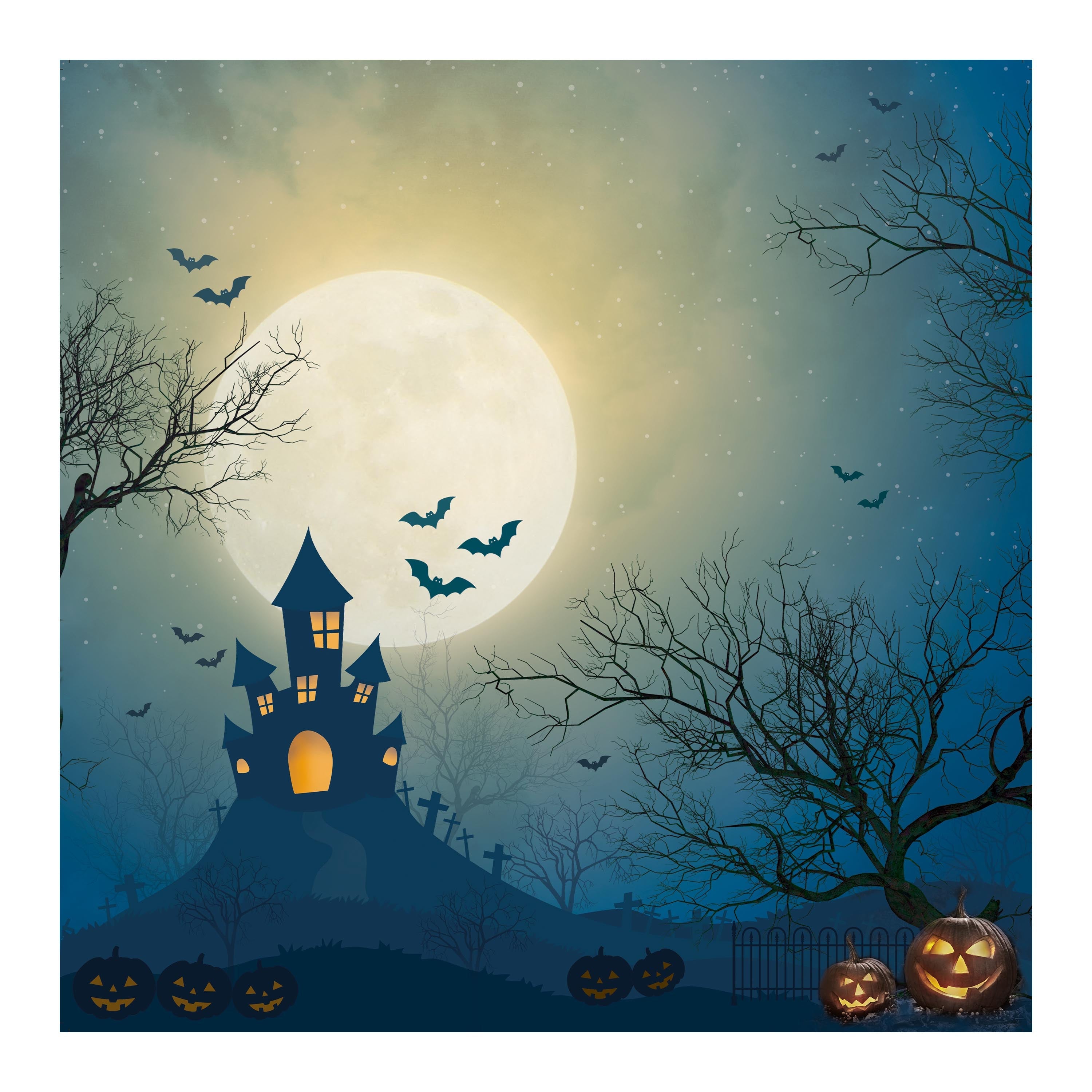 12 x12 inch Printed Cardstock pack- Halloween, 12 Sheets, 12 Designs, 250 gsm
